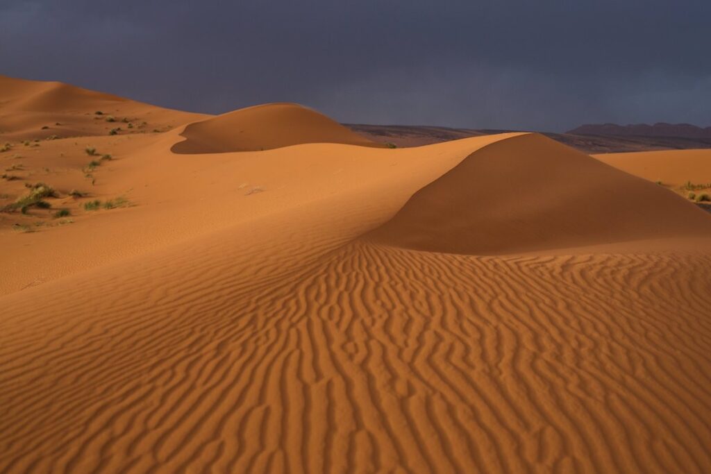 Lunes 04 de febrero de 2019